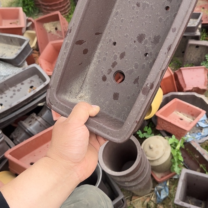 这就是所谓一群小鲜衣