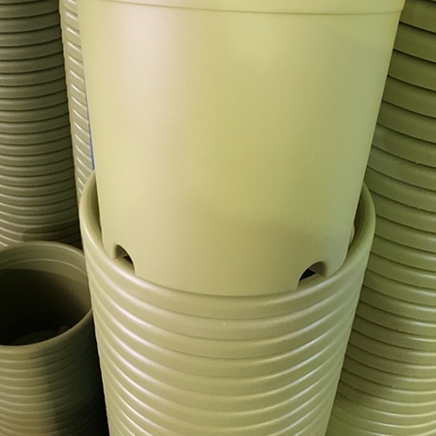 树脂四季4号微瑕果绿无托8个