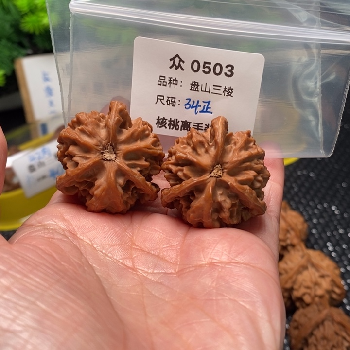 桃核吊坠众0503-全品盘山34正