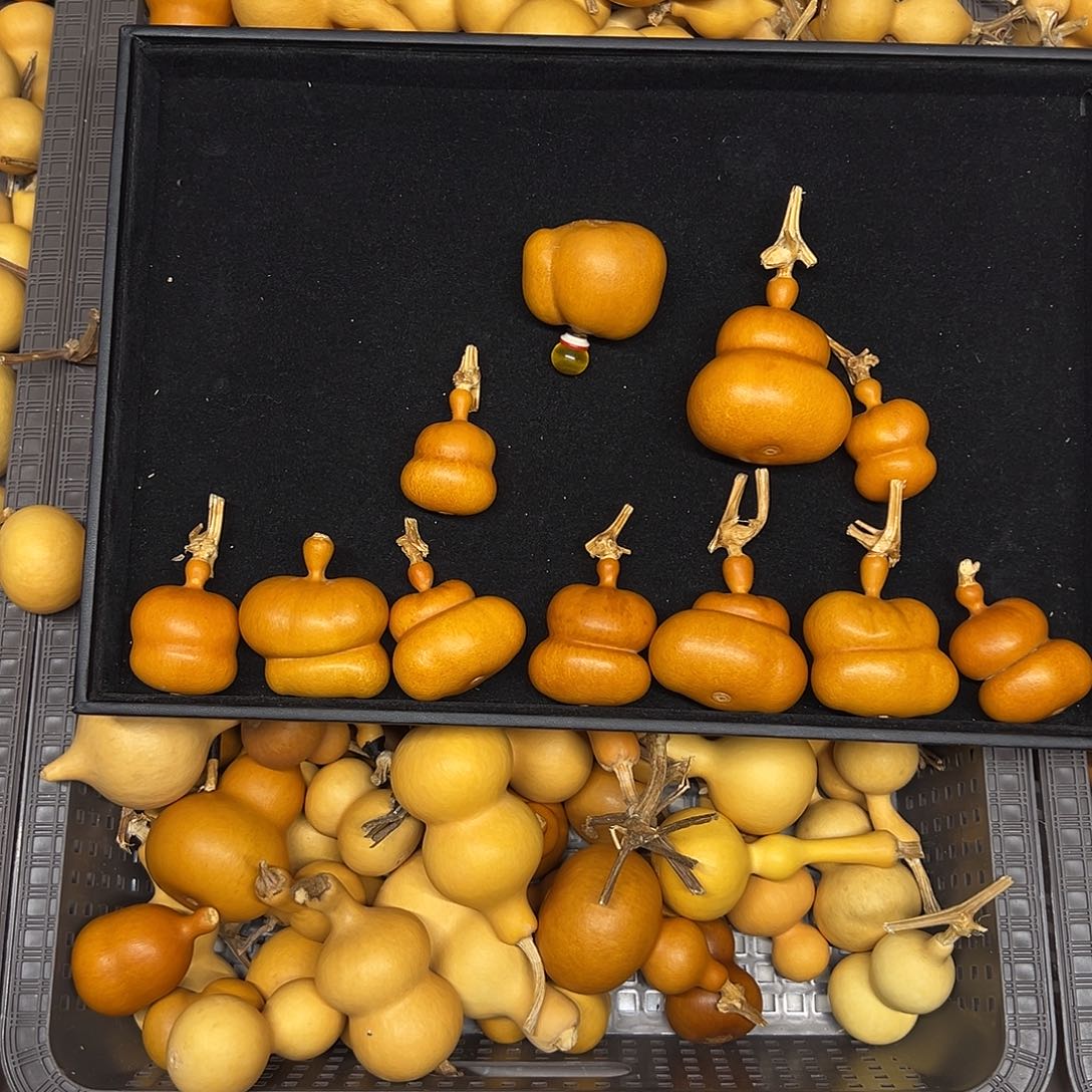 运***）葫芦感谢感谢感谢感谢感谢感谢