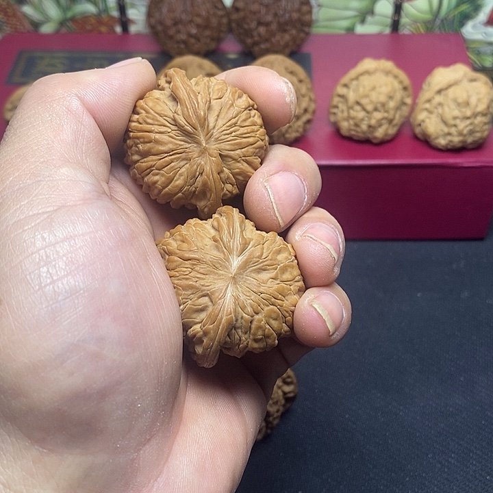 全品无修山地果磨盘