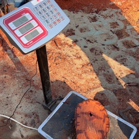 染料紫檀（血檀）669