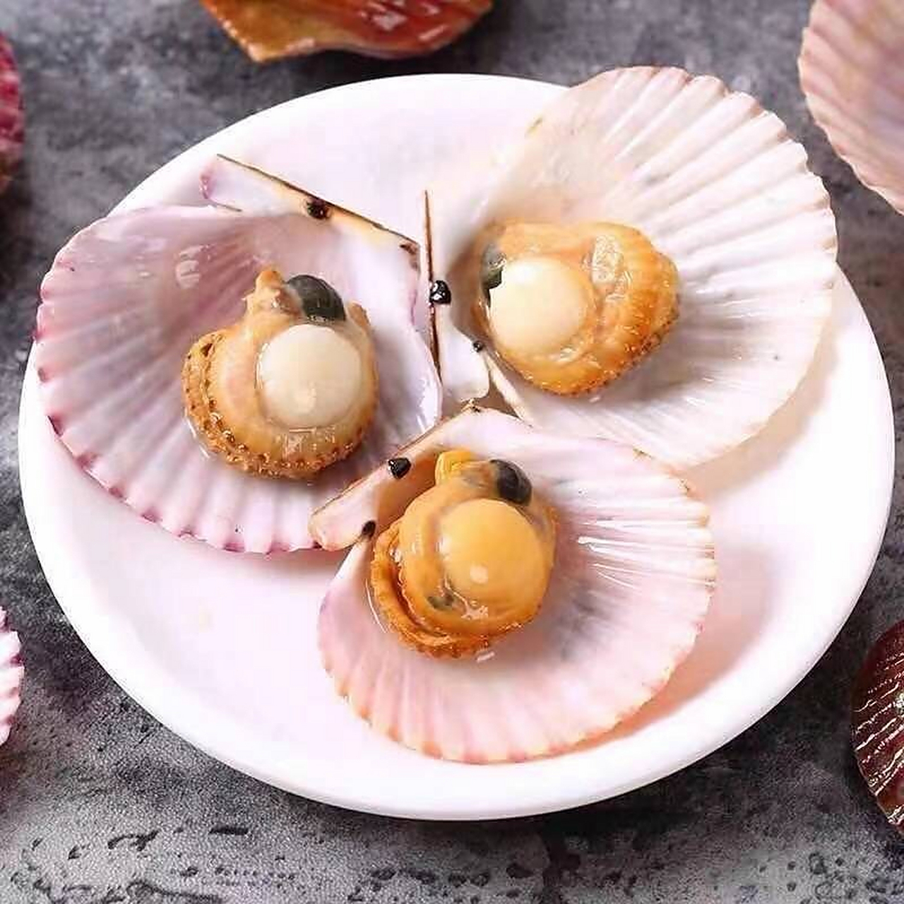 【拍4发5】新鲜港湾贝扇贝当季新货鲜甜肥美