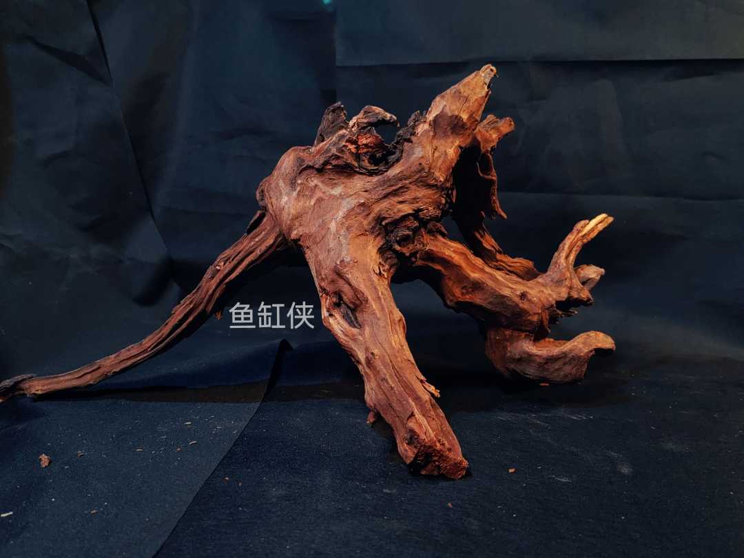 直播间链接 沉木造景素材  非直播间期间拍下无效不发货