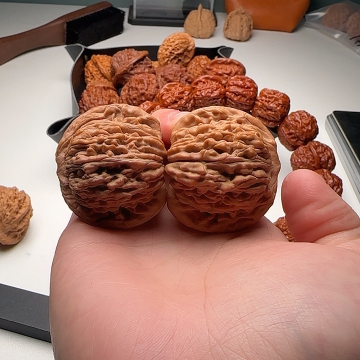 43-41-37一代铁楼B46号