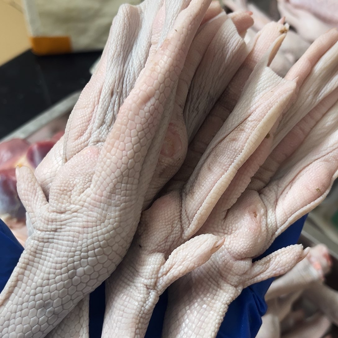 半年中国大陆特特大掌2斤