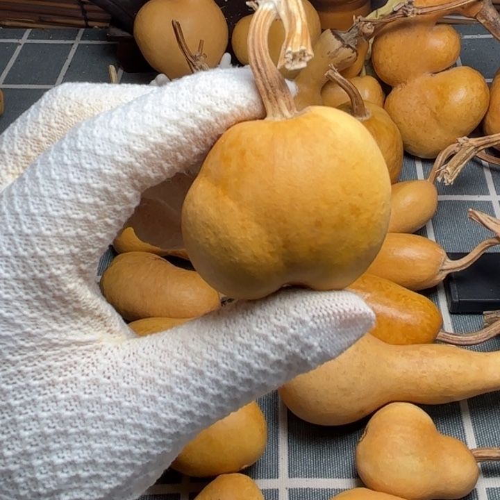 金***子风裂666666666666666