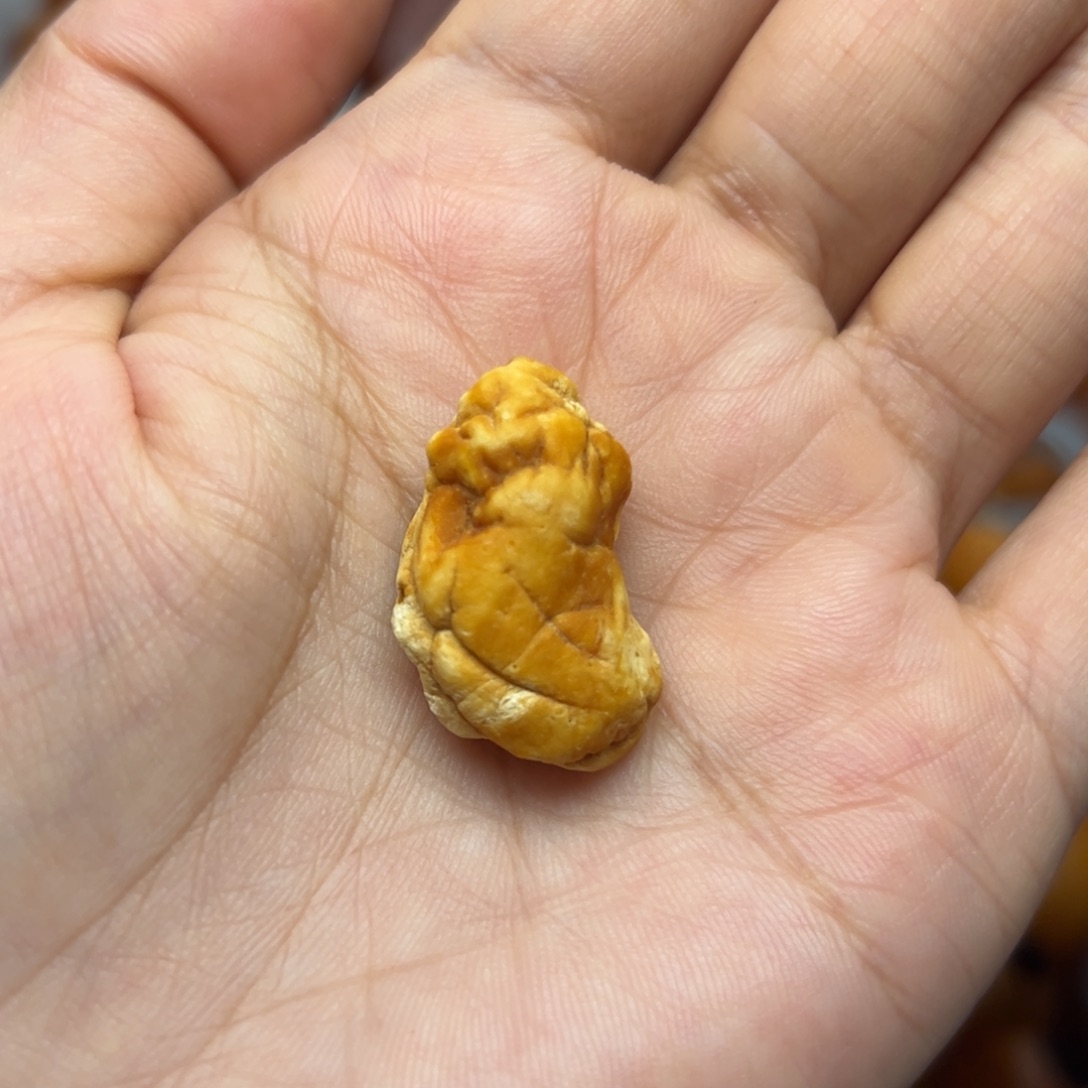 琥珀裸石未镶嵌天然蜜蜡