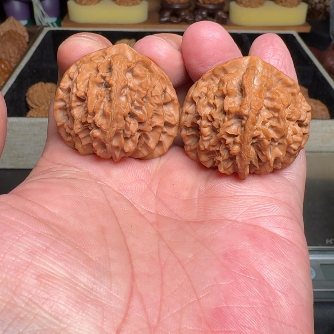 文玩核桃把件野生刺猬 尺寸38