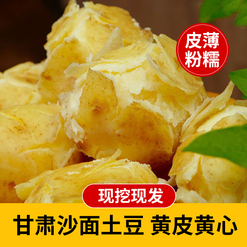 甘肃定西土豆高原土豆洋芋马铃薯面沙新鲜沙地粉面