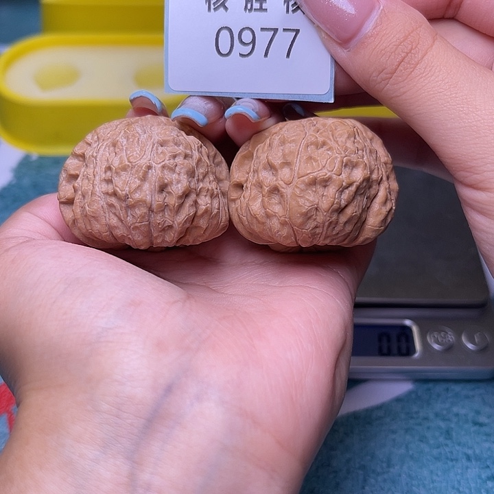 文玩核桃把件南瓜墩42.0977