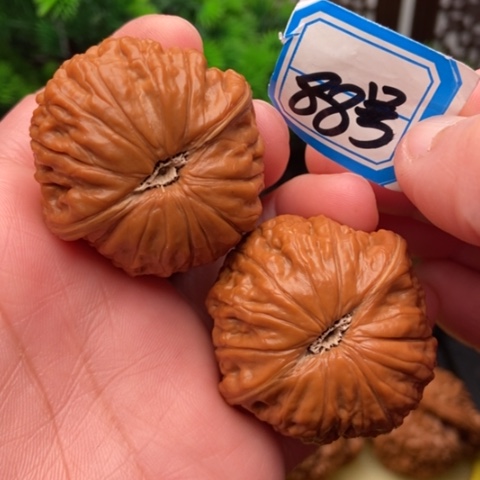 文玩核桃吊坠铁锤41