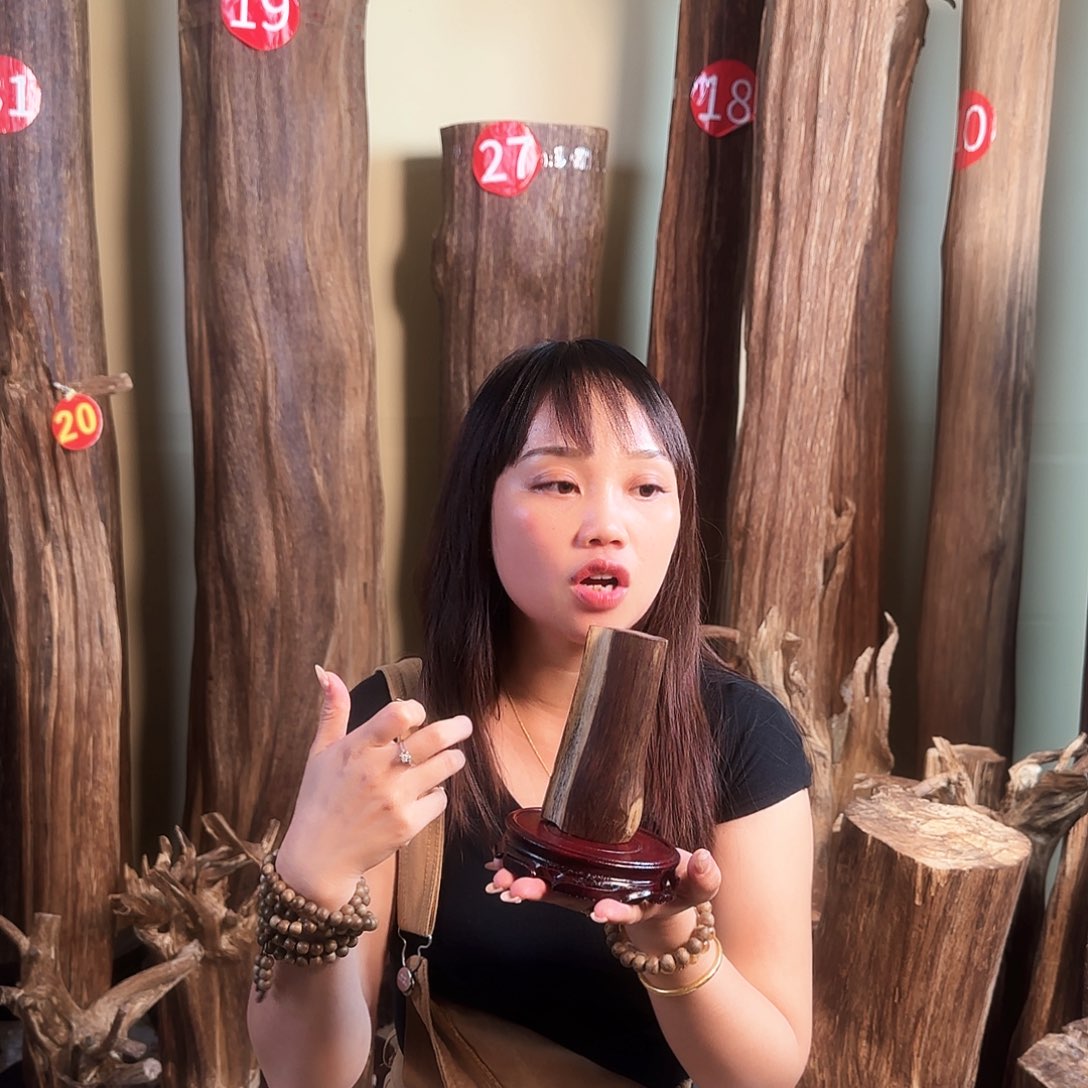 沉香碎屑沉香天然沉香原材料摆件➕底座