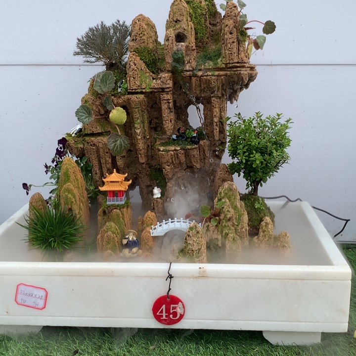 天然上水石吸水石盆景