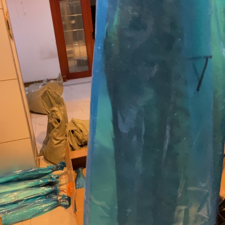 2***薇中国大陆渤海湾野生燕鲅鱼E