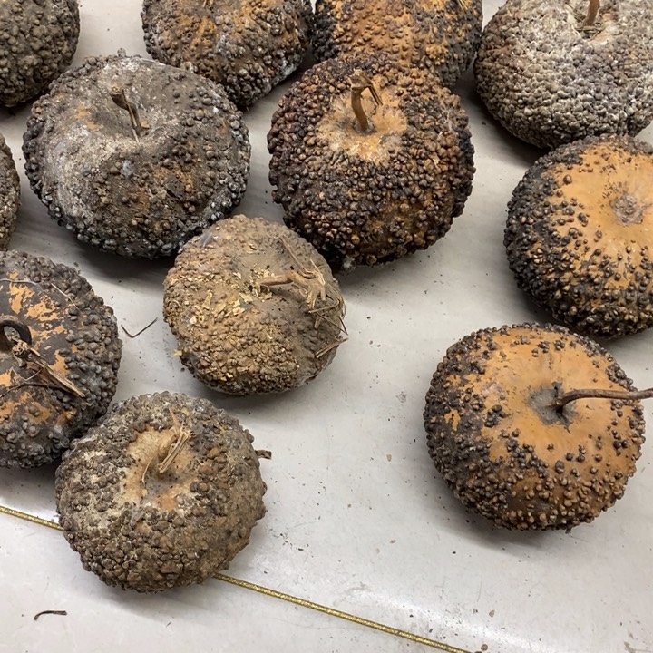 不***财葫芦………………………………….