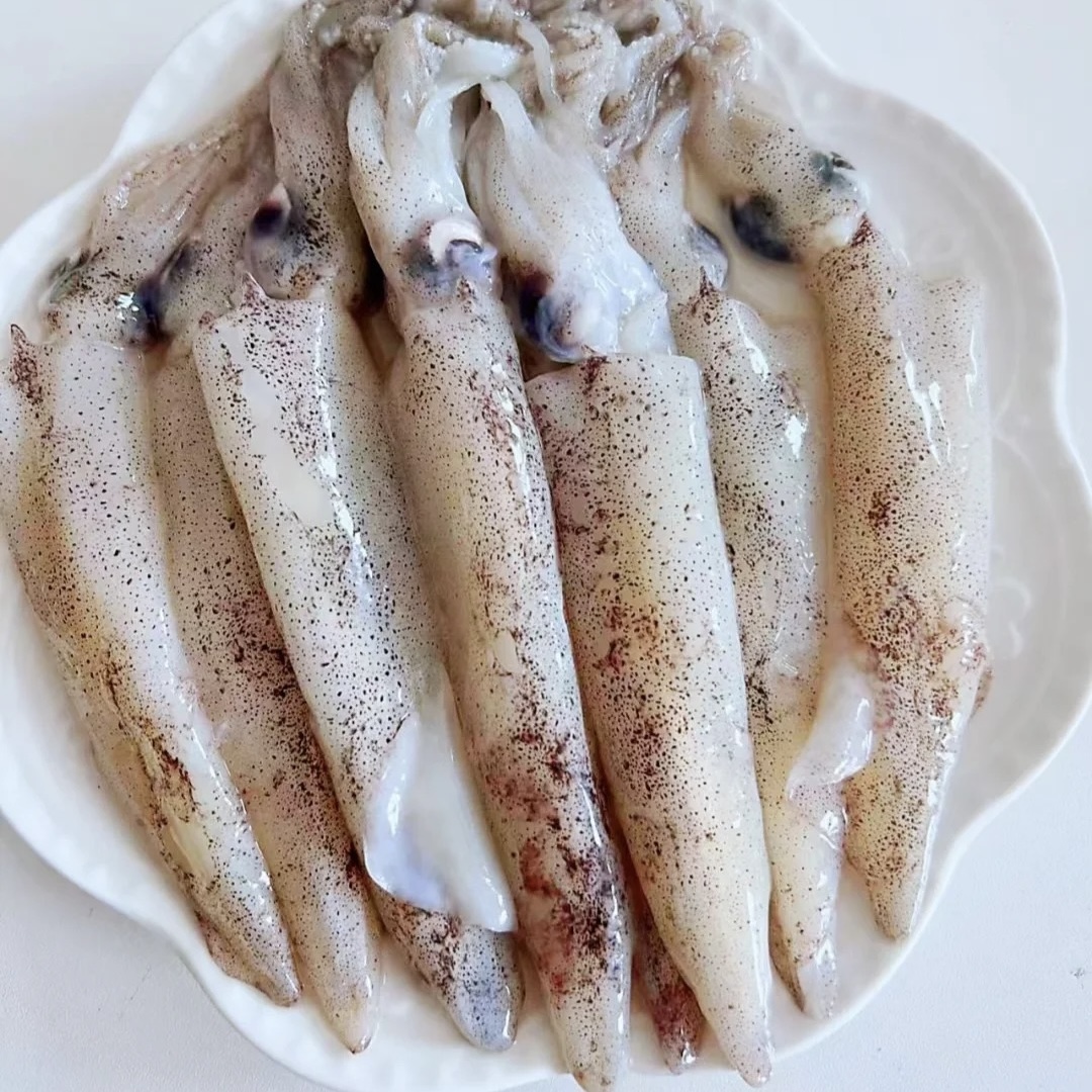 辽宁丹东海鲜笔管鱼 3斤 5斤 海兔子鱿鱼 母带籽 公带膏