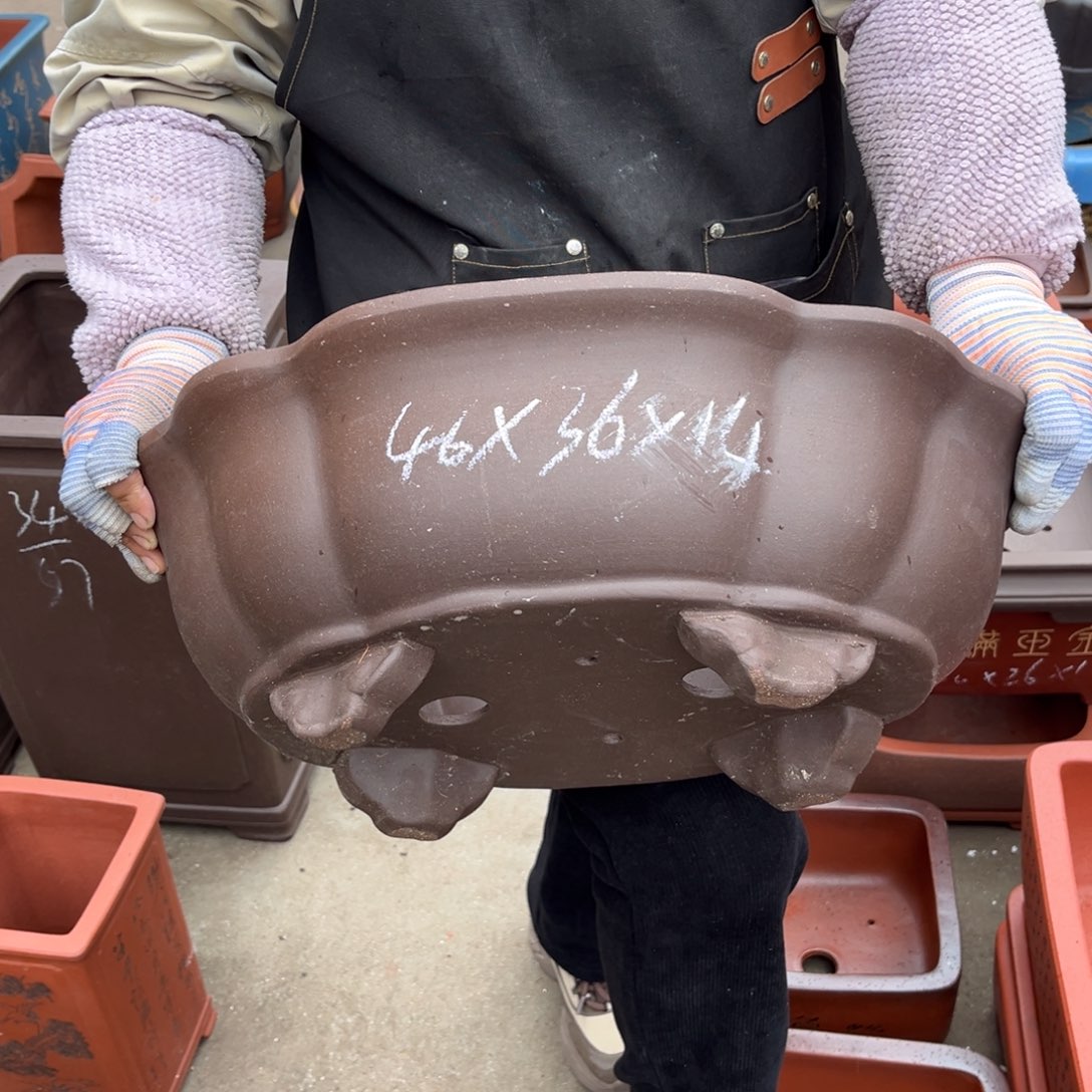 紫砂花盆盆景艺术