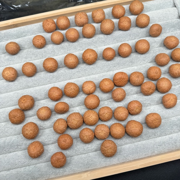 尼泊尔麒麟菩提单颗专拍链接【直播间现挑】