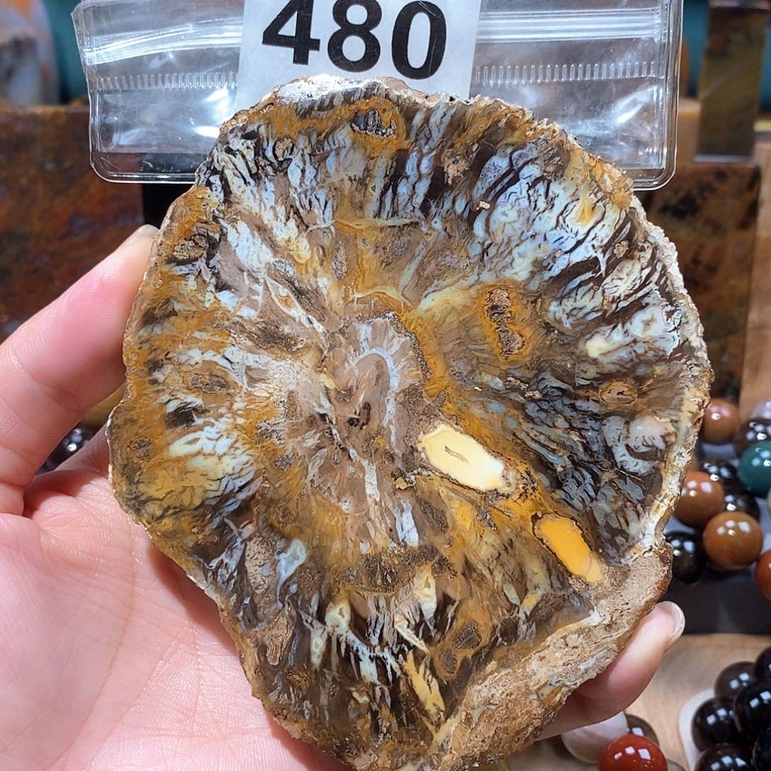 硅化玉天然北票硅化玉原石未镶嵌天然北票硅化玉原石