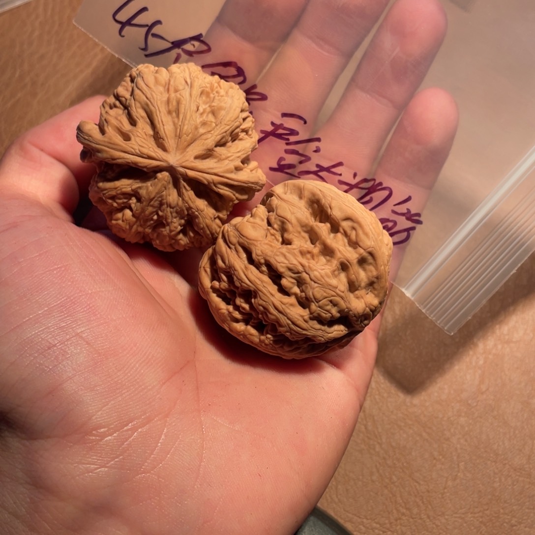 手串/手链核桃052