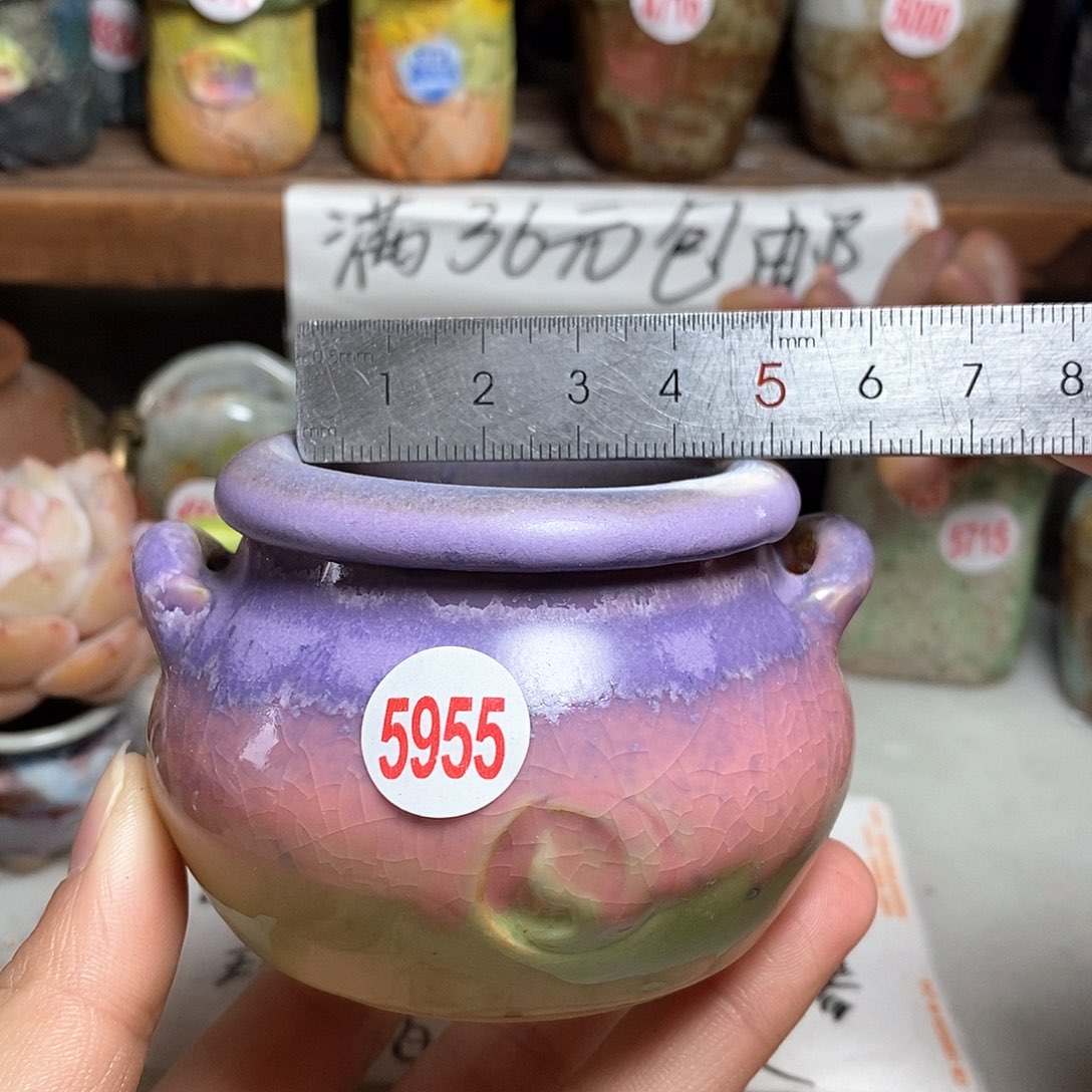 红陶拍5送一个小