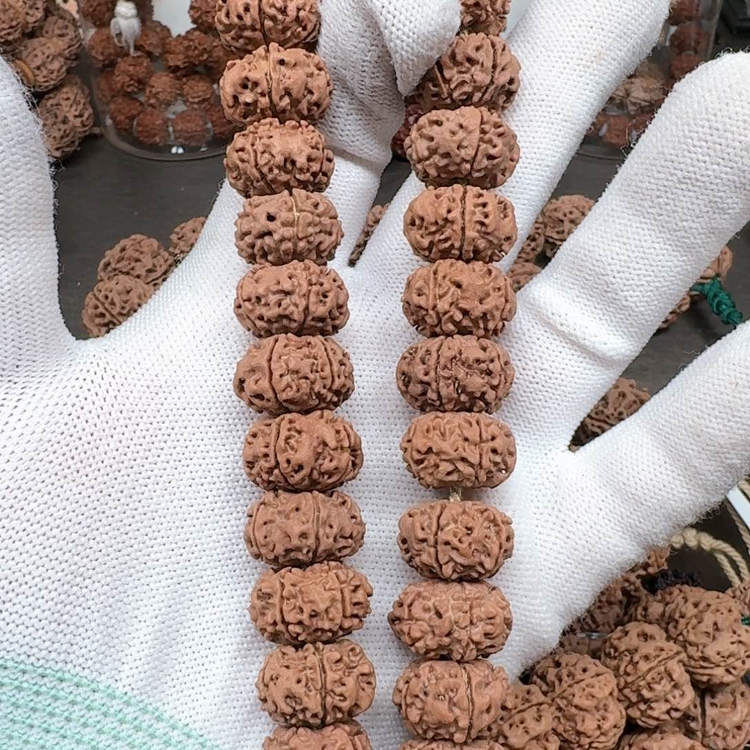 金刚菩提手串16天然纽扣