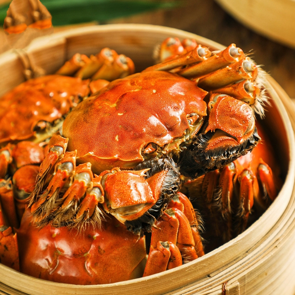 【纯母活蟹】（3.0-2.8两/只）8送2 河蟹母蟹活螃蟹冷链包邮现铺现捞