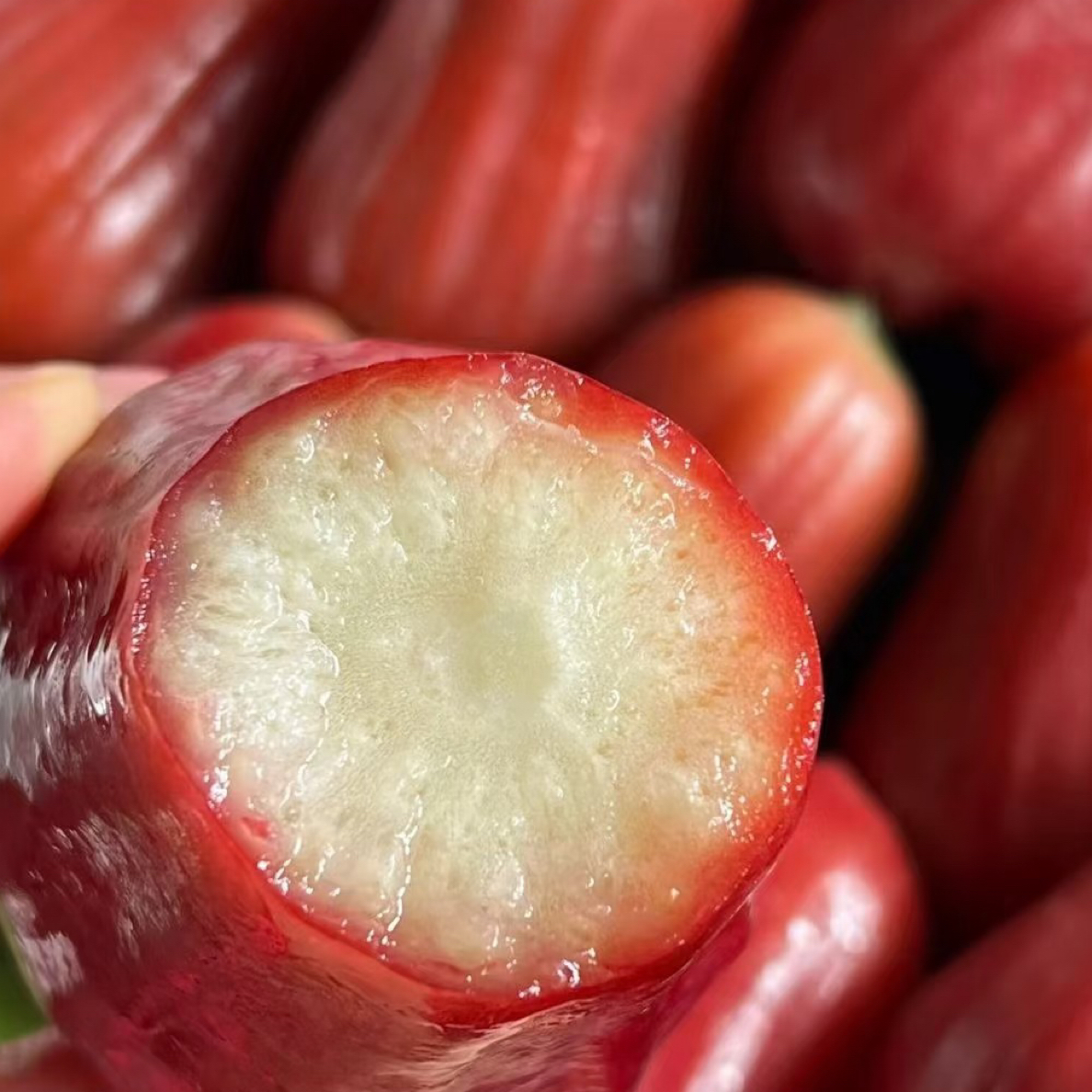 【富贵专属顺丰次日达】海南莲雾5头装包邮到家黑金刚莲雾海南省