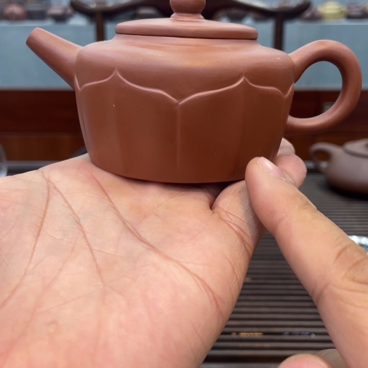 紫砂茶壶哈哈哈哈哈这个综艺节目真的是太棒啦