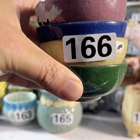 红陶多肉植物花盆