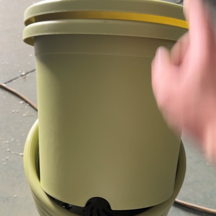 微瑕5#果绿6个无托