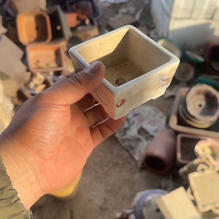 不说算什么呀亲爱的在那你干吧明天再说哇别等的睡