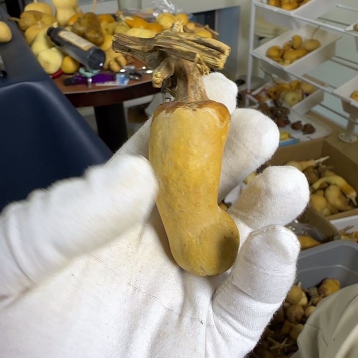 悟***️印石昌化石发刚好会被男男女女男男女女