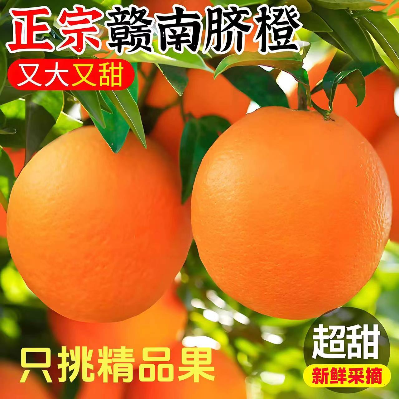 【古书记助农】赣南脐橙新鲜当季水果甜橙子产地直发