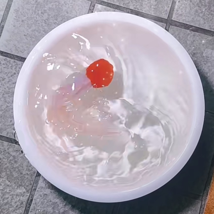 【赛级金鱼苗】35条4-6公分 红头 泰狮 鎏金等不指定