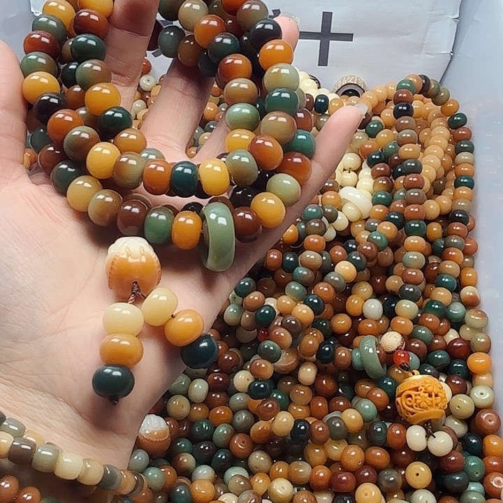 吊坠菩提根/象牙果