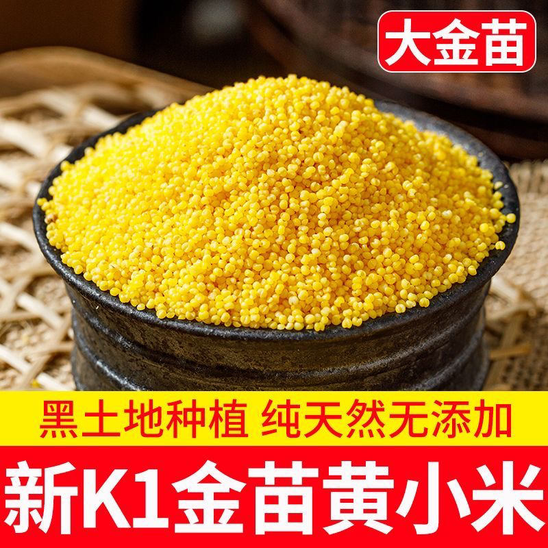 【保证新米】东北现磨新米优质油糯黄小米熬粥佳品五谷杂粮