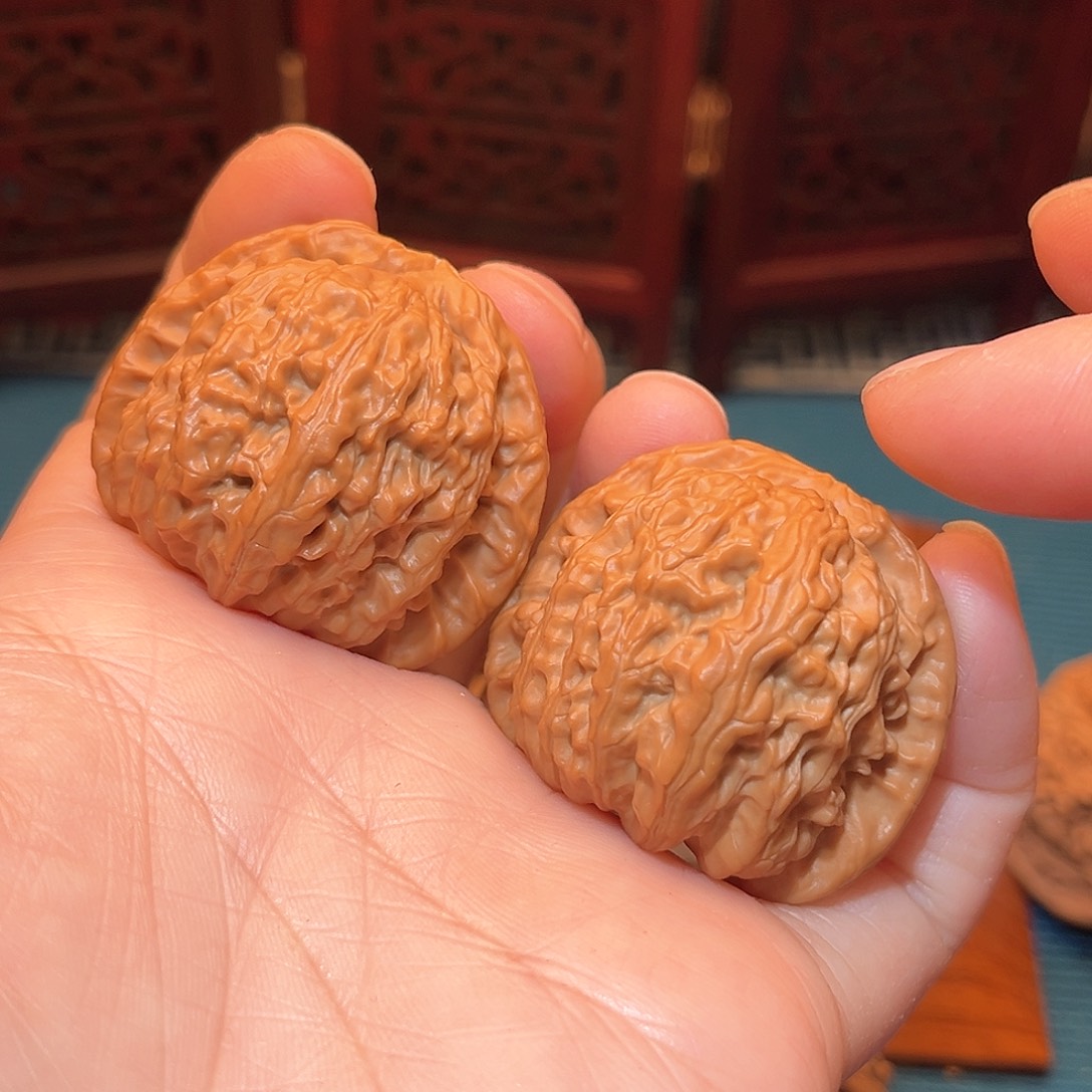 38全品小白狮子……精品