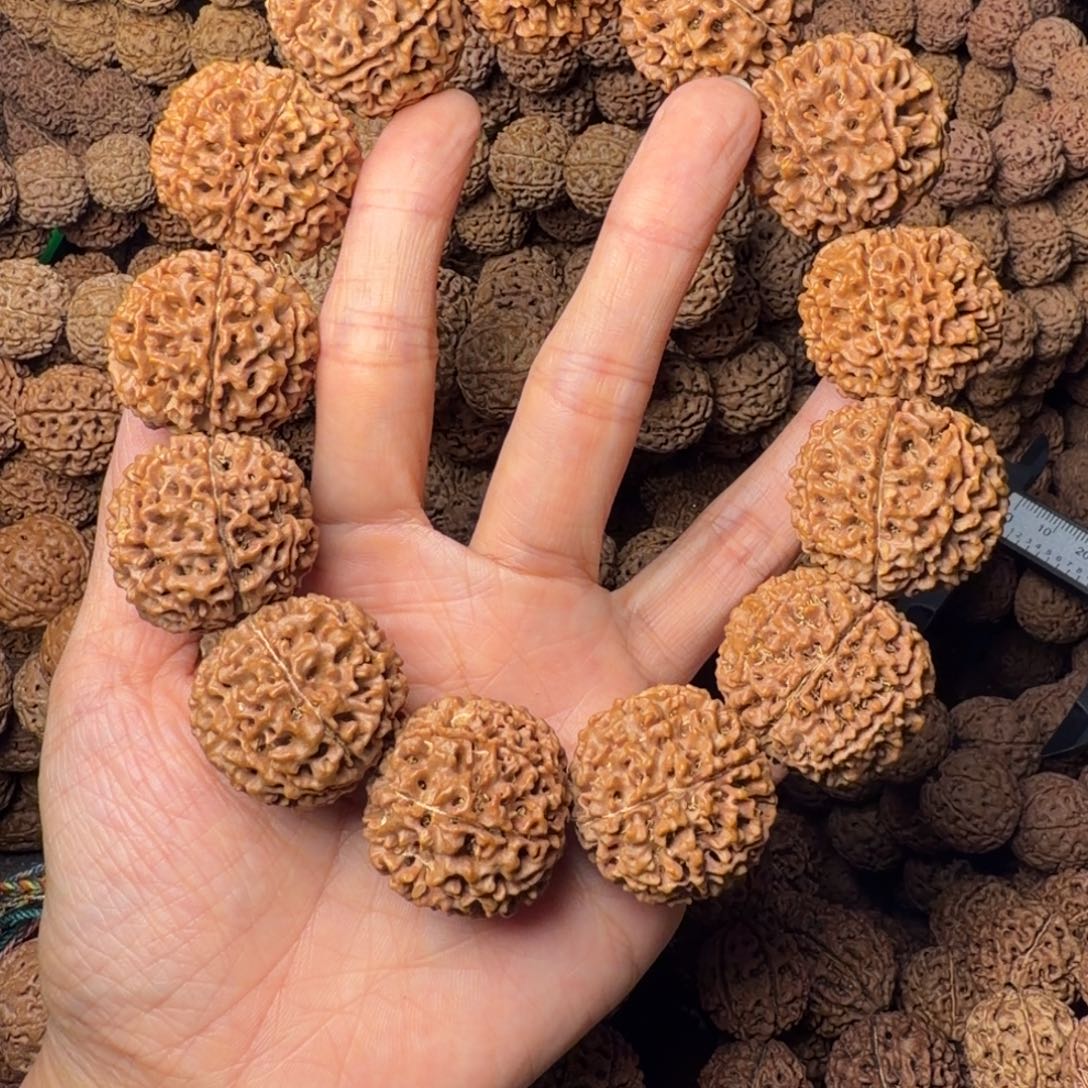 金刚菩提手串8瓣卡29尺，19号