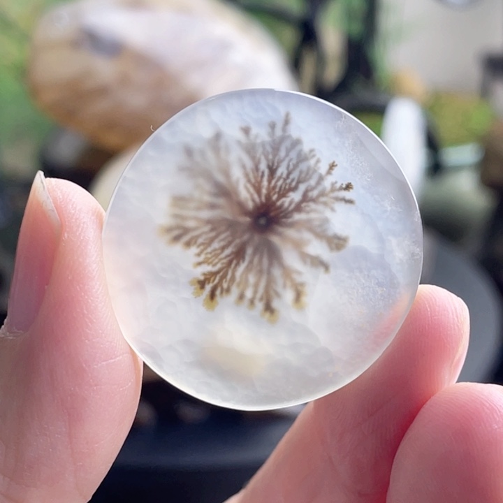 玛瑙/玉髓珠宝半成品未镶嵌