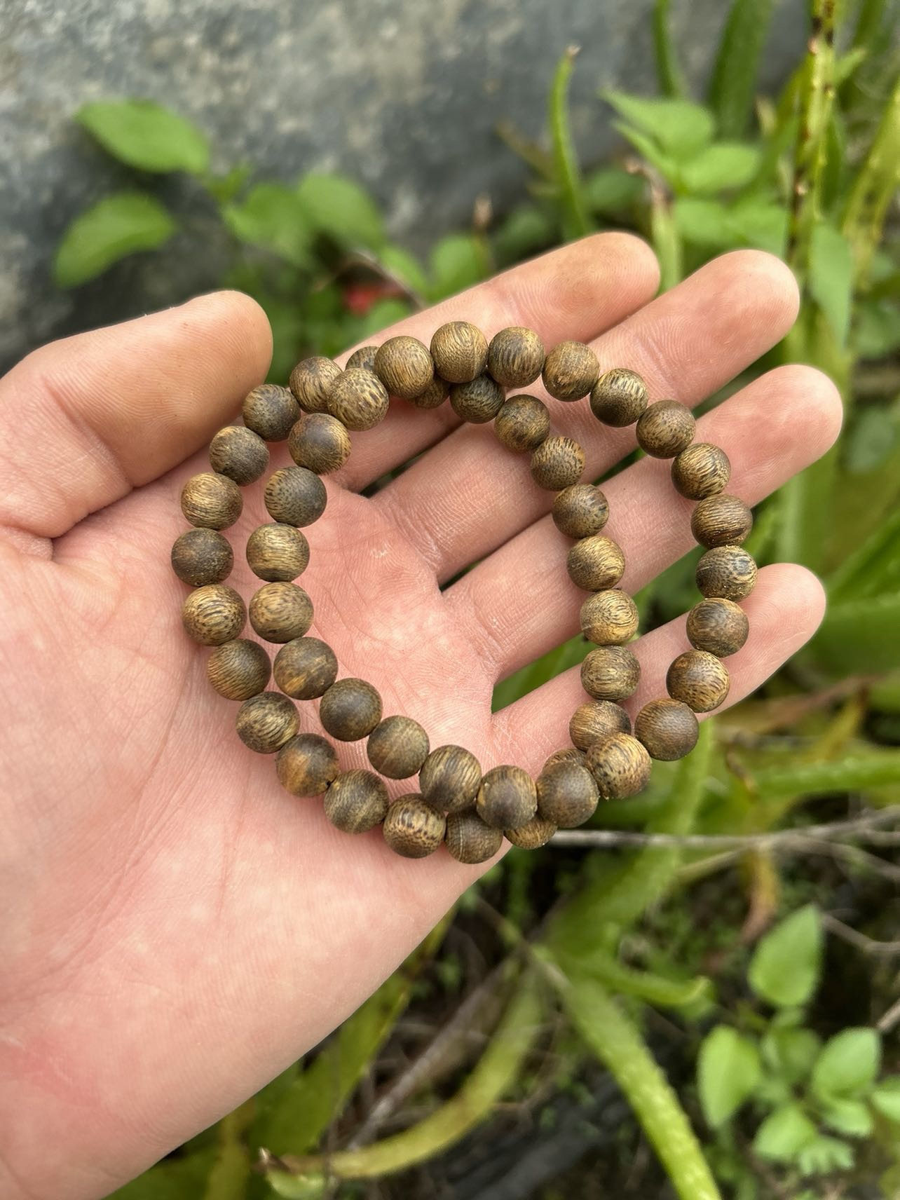 奇楠沉香0.8单多样性发一