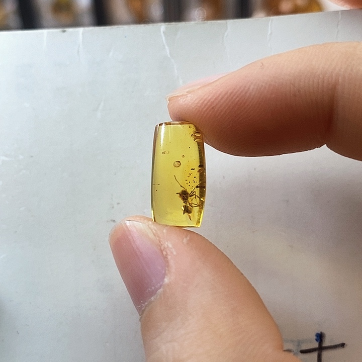 定制琥珀桶珠 虫珀