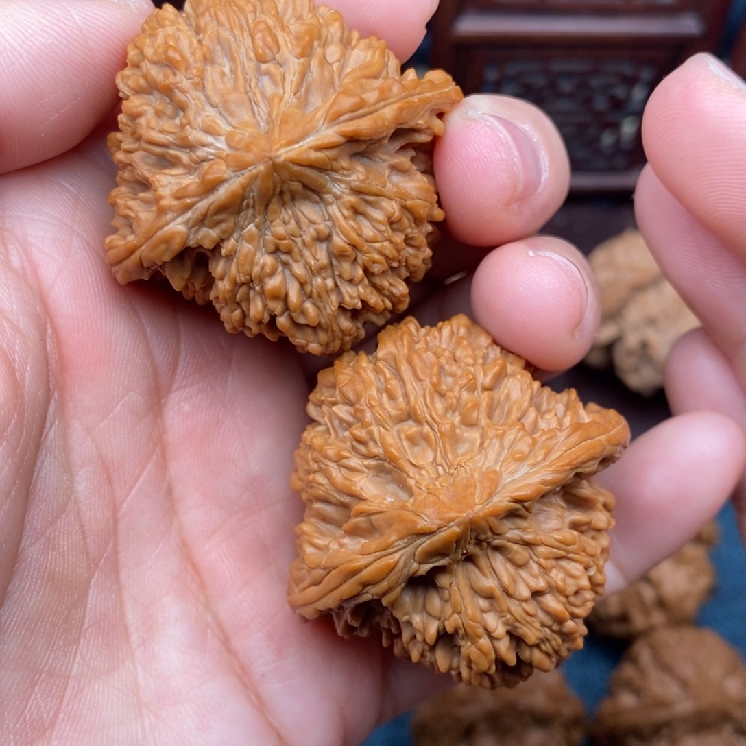 文玩核桃把件42全品满天星狮子头