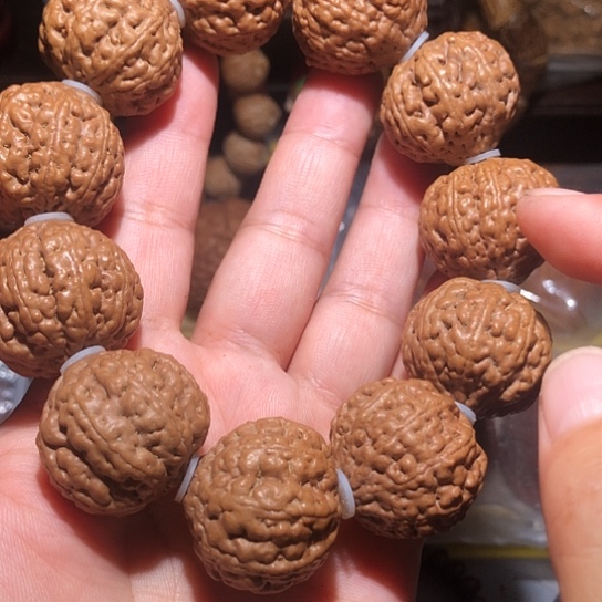 橄榄核把件多瓣金刚手串