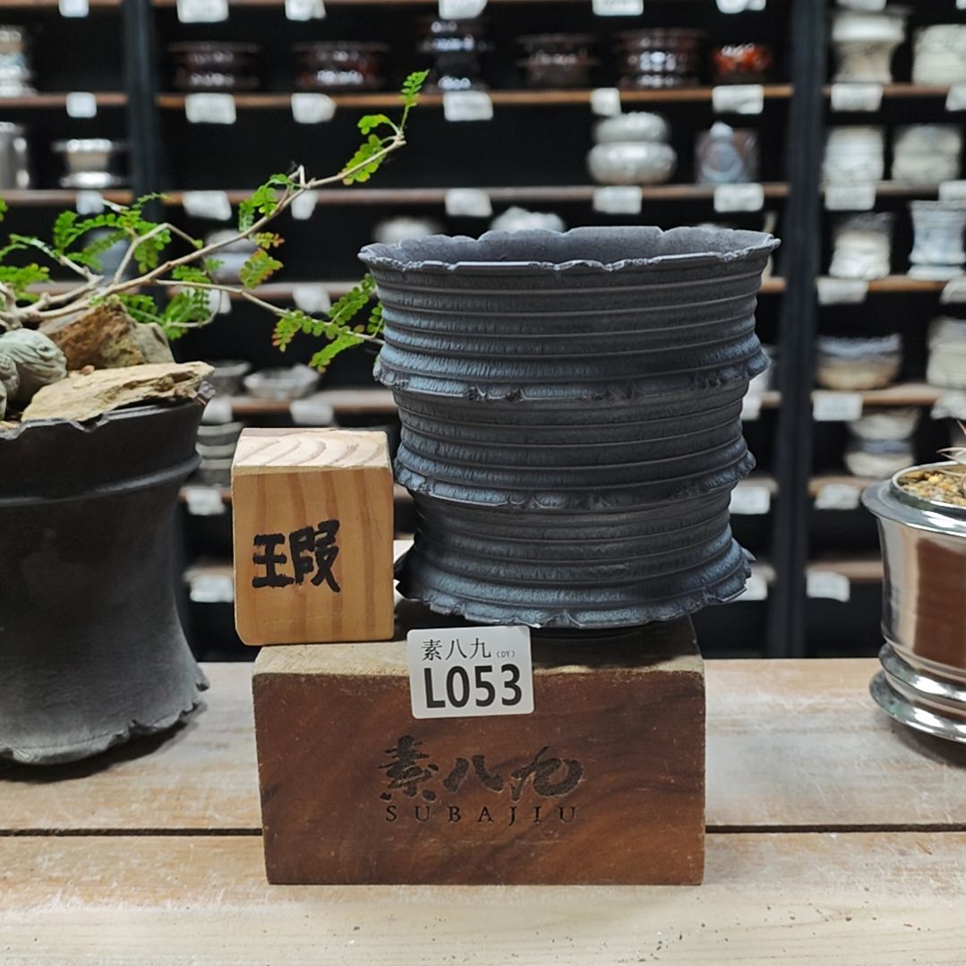 陶瓷素八九陶瓷内口14.5高13