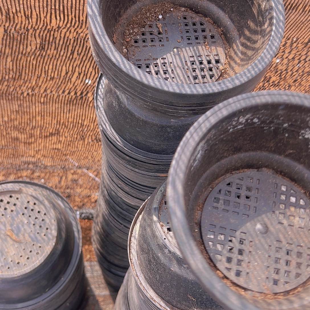 塑料黑色韩盆口径16。发25个