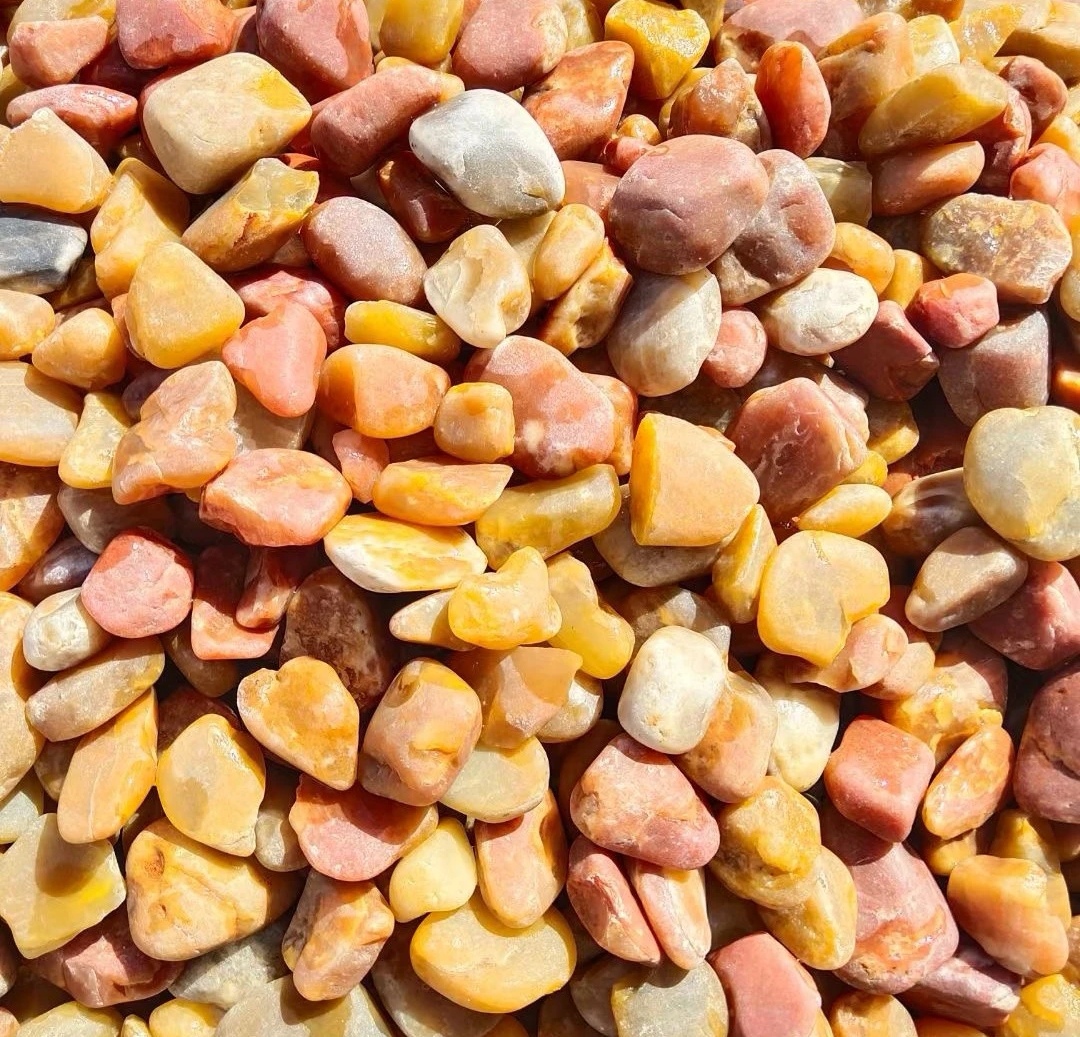 新疆五彩盆景观赏石美观实用增添自然气息