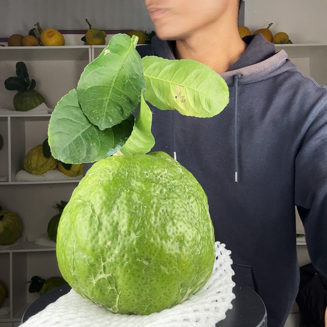 木***棉香水柠檬云南高山大香橼