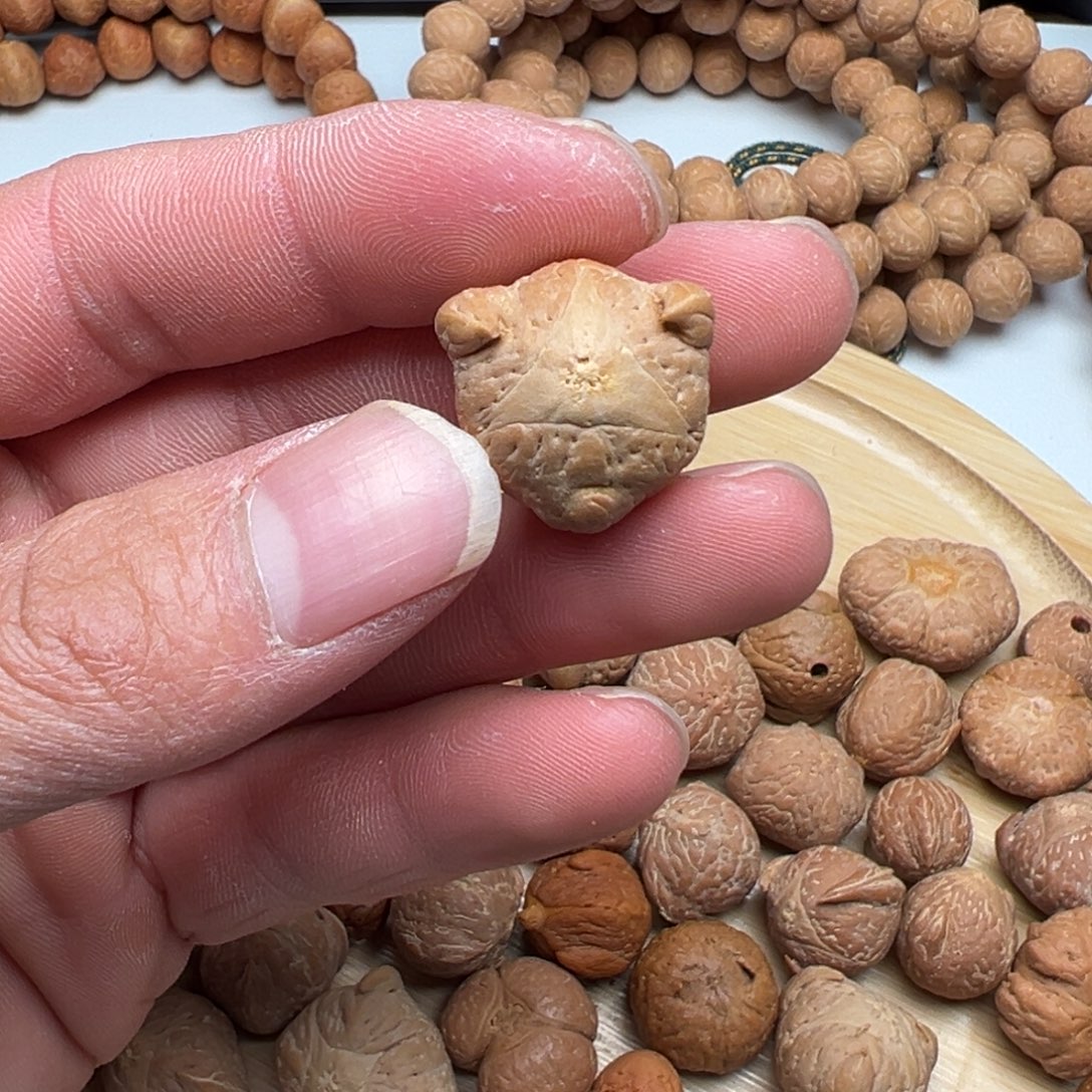 吊坠凤眼菩提龙爪